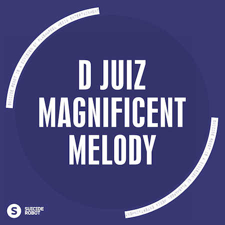 D Juiz - Magnificent Melody