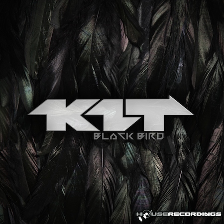 K1T - Black Bird