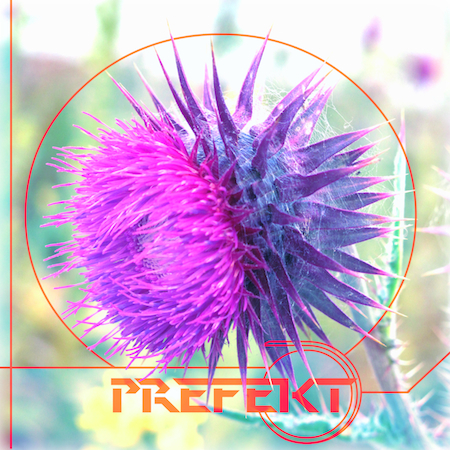 Prefekt - Martini