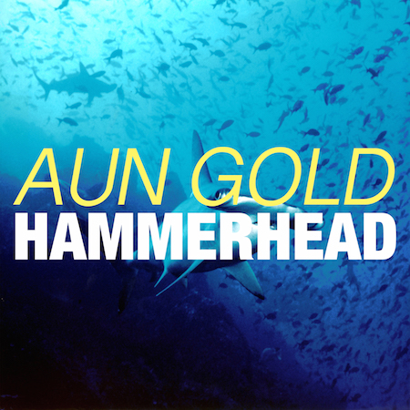 Aun Gold - Hammerhead